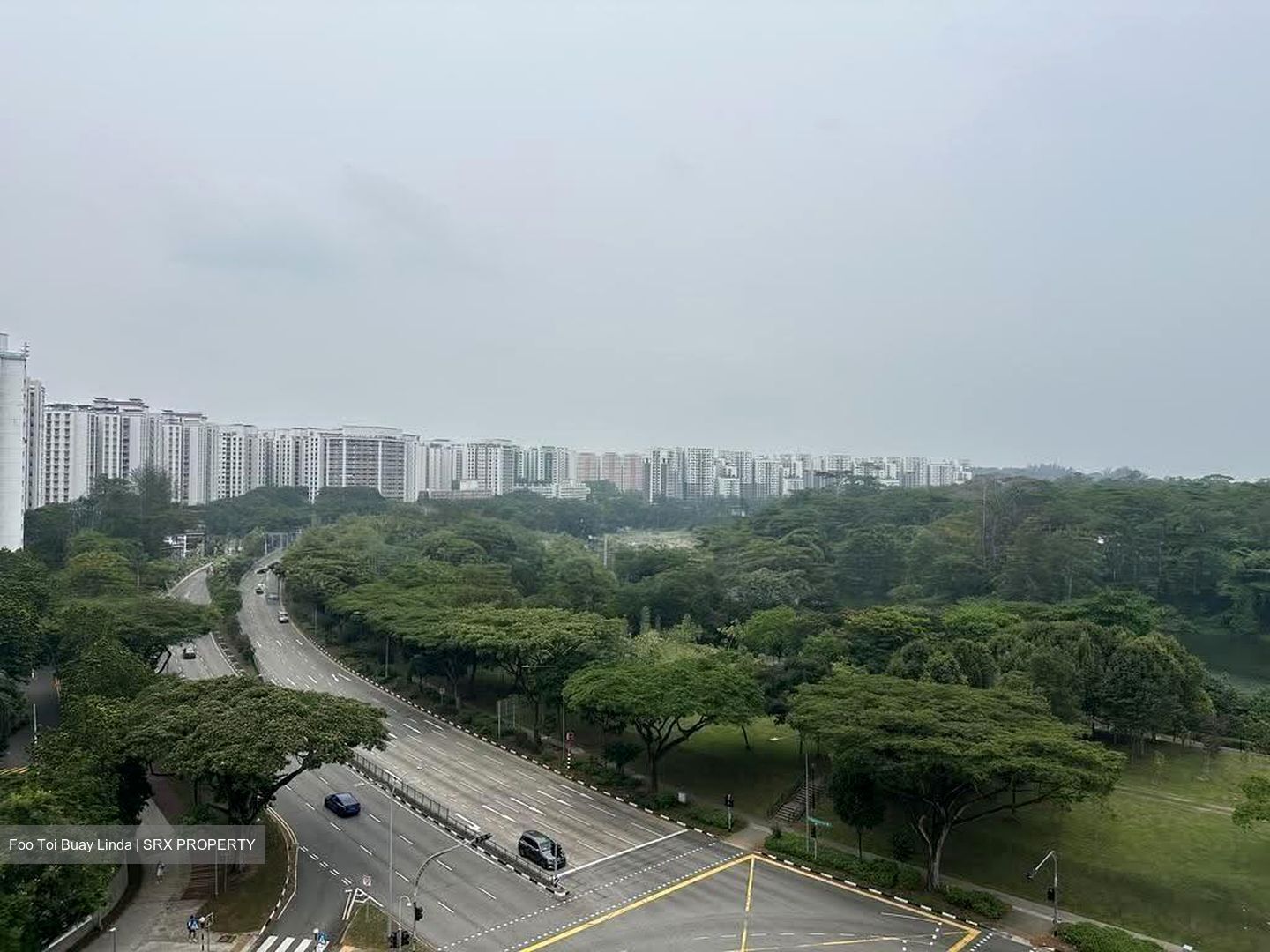 Riversound Residence (D19), Condominium #635837811